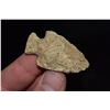 Image 1 : 1 7/8" Broward Point, Florida Ex Jake Barnes