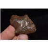 Image 2 : 2" Elora Point, Florida Ex Jake Barnes