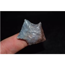 1 3/8" Wacissa Point, Florida Ex Jake Barnes