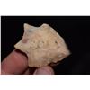 Image 1 : 2" Hamilton Point, Florida Ex Jake Barnes