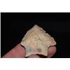 Image 4 : 2" Hamilton Point, Florida Ex Jake Barnes