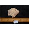 Image 5 : 2" Hamilton Point, Florida Ex Jake Barnes