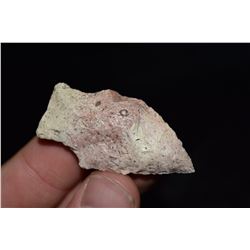 1 7/8" Pickwick Point, Florida Ex Jake Barnes