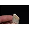 Image 5 : 3 1/8" Effigy Bone Piece, Alaska
