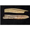 Image 2 : Lot of 2 Bone Tools, 4 1/2" and 3 7/8", Southern