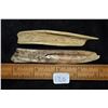 Image 3 : Lot of 2 Bone Tools, 4 1/2" and 3 7/8", Southern