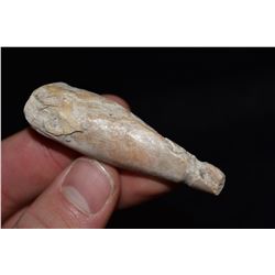 2 1/2" Conch Shell Center Pendant, Florida