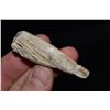 Image 2 : 2 1/2" Conch Shell Center Pendant, Florida