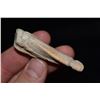 Image 3 : 2 1/2" Conch Shell Center Pendant, Florida