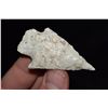 Image 1 : 2 1/8" Abbey Point, Arkansas