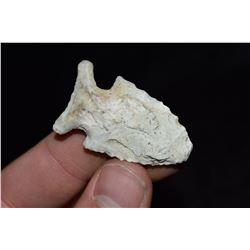 1 5/8" Florida Greenbriar Point, Jefferson Co, Florida