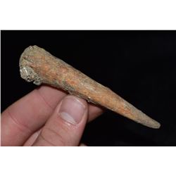 3 3/4" Antler Knapping Tool, Pike Co, Missouri