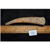 Image 5 : 3 3/4" Antler Knapping Tool, Pike Co, Missouri