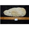 Image 5 : 6" Flint Adze, Fulton Co, Illinois