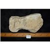 Image 5 : 5 1/2" Flint Axe, Monroe Co, Missouri