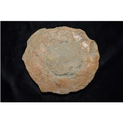 6" Round Sponge Fossil, Northern Illinois