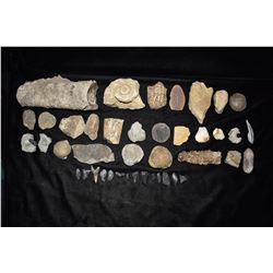 Box of Mixture of Fossils & Rocks