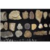 Image 3 : Box of Mixture of Fossils & Rocks