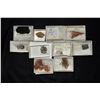 Image 1 : Box of 10 Different Minerals