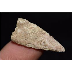 1 1/4" Madison Point, Madison Co, Illinois