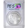 Image 4 : 1880 MORGAN DOLLAR PCGS MS-64