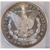 Image 3 : 1882-O/O VAM 7 MORGAN DOLLAR  ICG MS-64+