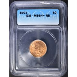 1901 INDIAN CENT  ICG MS-64+ RD