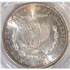 Image 3 : 1884-CC MORGAN DOLLAR  PCGS MS-64