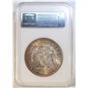Image 4 : 1896 MORGAN DOLLAR  NGC MS-64