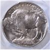 Image 3 : 1913-D TYPE-1 BUFFALO NICKEL, PCGS MS-66