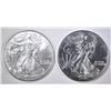 Image 1 : 1999 & 2000 AMERICAN SILVER EAGLES