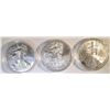Image 1 : 2004, 14, 18 BU AMERICAN SILVER EAGLES IN CAPSULES