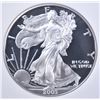 Image 2 : 2003-W AMERICAN SILVER EAGLE NGC PF-69 ULTRA CAMEO