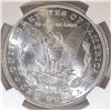 Image 3 : 1879 MORGAN DOLLAR NGC MS-63