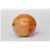 Image 5 : Hopi seed jar