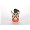 Image 4 : Cochiti polychrome figure