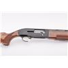 Image 8 : 19NE-1 BERETTA 303 #M54934E