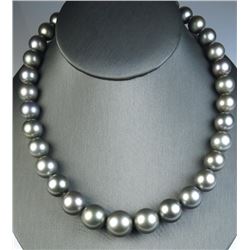 19CAI-6 TAHITIAN SOUTH SEA PEARLS