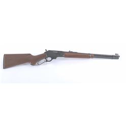 19PV-13 MARLIN 336CS