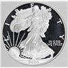 Image 1 : 2005-W AMERICAN SILVER EAGLE