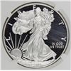 Image 1 : 2010-W AMERICAN SILVER EAGLE