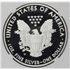 Image 2 : 2010-W AMERICAN SILVER EAGLE