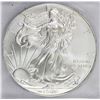 Image 1 : 2008 AMERICAN SILVER EAGLE
