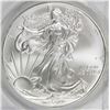 Image 1 : 2009 AMERICAN SILVER EAGLE
