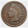 Image 1 : 1894/94 INDIAN CENT