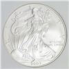 Image 1 : 2007-W AMERICAN SILVER EAGLE