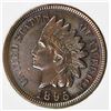 Image 1 : 1895 INDIAN CENT
