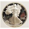 Image 1 : 1991 AMERICAN SILVER EAGLE