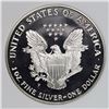 Image 2 : 1993 AMERICAN SILVER EAGLE
