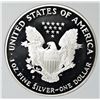 Image 2 : 1996 AMERICAN SILVER EAGLE